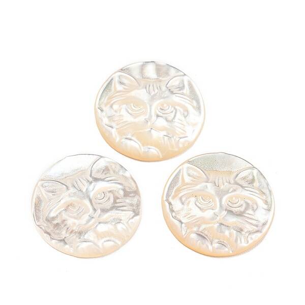 Natural Sea Shell Cabochons
