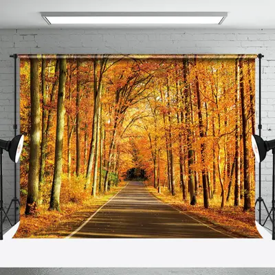 Fall Leaves Forest Autumn Scenery Photo Backdrop - Aperturee