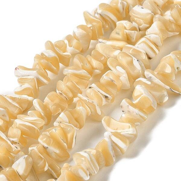Natural Trochus Shell Beads Strands