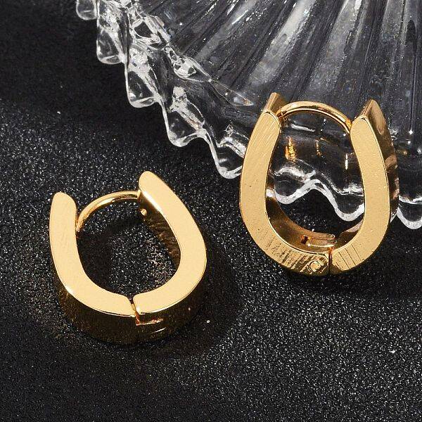 304 Stainless Steel Hoop Earrings