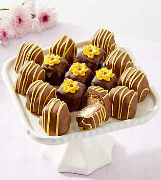 Sunny Days Belgian Chocolate - Covered Cheesecake Bites - FedEx