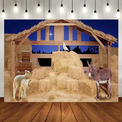 Farm Haystack Donkey Sheep Night Christmas Backdrop - Aperturee