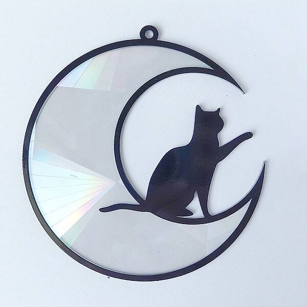 Acrylic Big Pendant