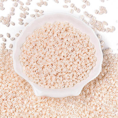 Opaque Colours Luster Glass Seed Beads