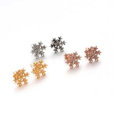 304 Stainless Steel Ear Studs