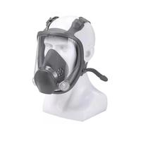 Full Face Mask, Full Face Mask with Goggles, Dustproof & Anti-poison Mask, Safety Mask for Painting, Chemical, Farming, Secur...