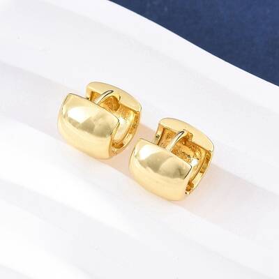 Brass Hoop Earrings