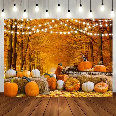 Aperturee Yellow White Pumpkin Fallen Leaves Autumn Backdrop