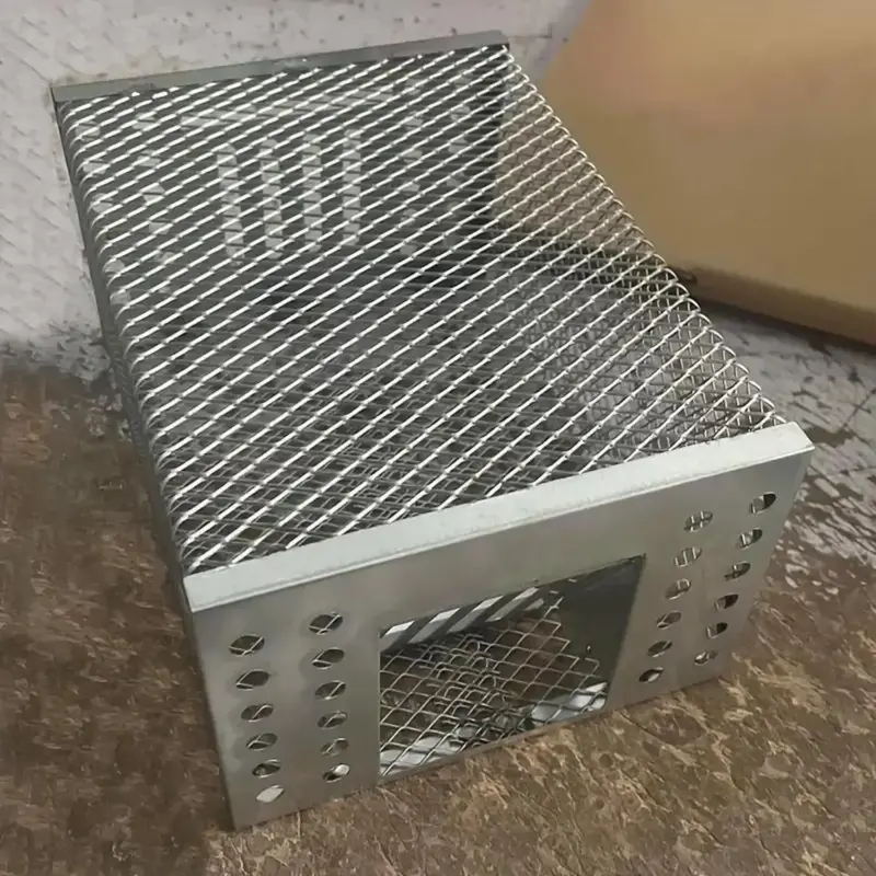 Durable Iron Mouse Cage, 1-way Door Design Mouse Trap, Pest Control Accessories for Home & Office, Room Accessories, Rodent R...