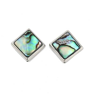 Natural Paua Shell Beads