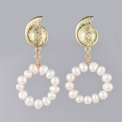 Dangle Stud Earrings