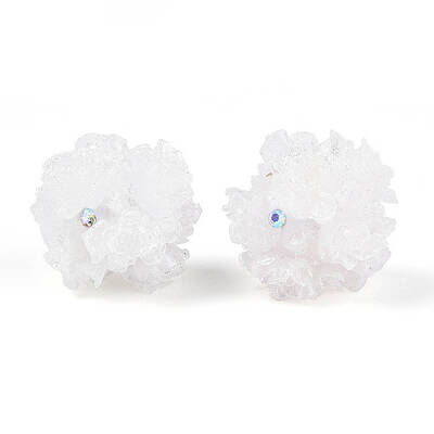 Resin Beads