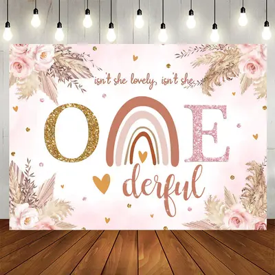 Aperturee Isnt She Onederful Rainbow Theme Birthday Backdrop