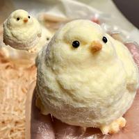 【2025 New】2 Pack Handmade Taba Squishy Chick, Ultra Soft Squishy, Fidget Squeeze Toys, TPR Squeeze Toys for Stress Relief...