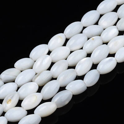 Natural Freshwater Shell Beads Strands