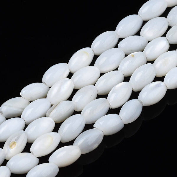 Natural Freshwater Shell Beads Strands