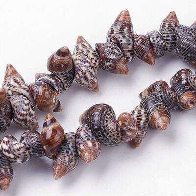 Natural Spiral Shell Beads Strands