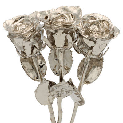 3 Past, Present, Future 8 Platinum Dipped Roses
