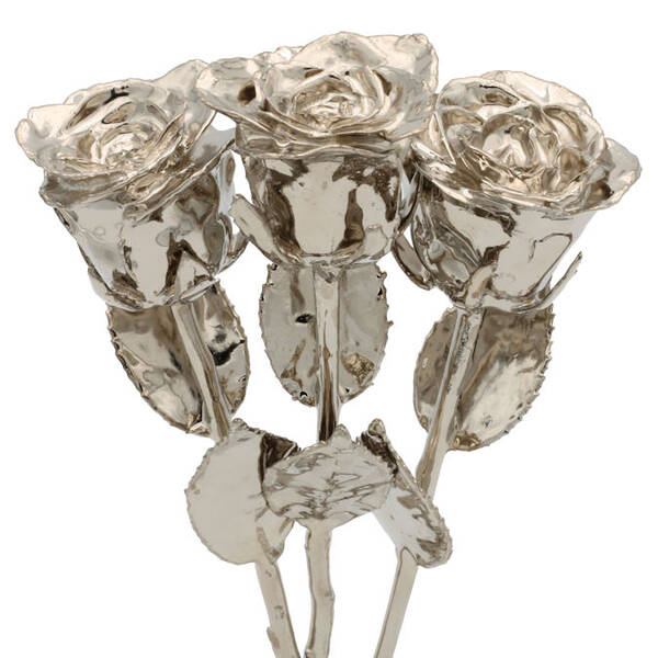 3 Past, Present, Future 8 Platinum Dipped Roses