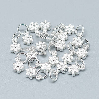 925 Sterling Silver Charms