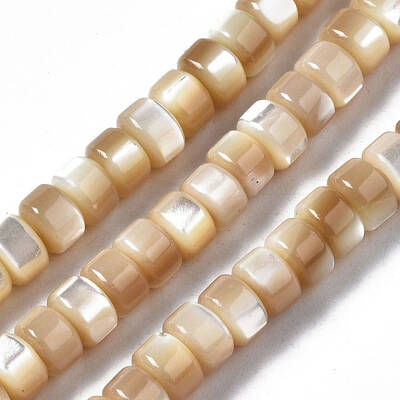 Natural Trochid Shell/Trochus Shell Beads Strands