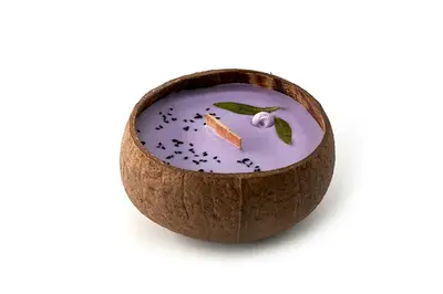 Tropikalia Coconut Candle - Blueberry and Vanilla Flavor