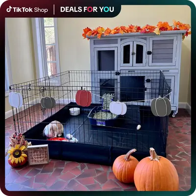 【On Sale】Aivituvin-AIR71  Bunny Playpen| Guinea Pig  Playpen with Floor,Petlife,Dog Playpen,Rabbit Playpen,Dog crate,Meta...