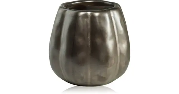 Paddywax Pumpkin Spice Scented Candle 255g