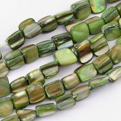 Erose Shell Beads Strands