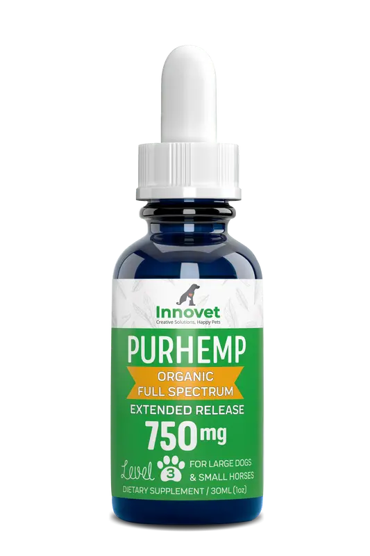 Hemp Oil for Pets