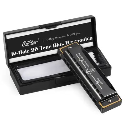 Eastar Major Advanced 10-Hole C Blues Harmonica Black