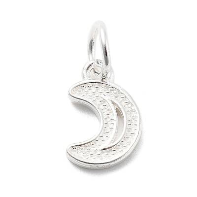 925 Sterling Silver Charms