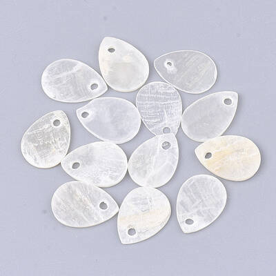 Capiz Shell Charms