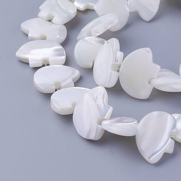 Shell Beads Strands