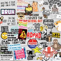 130/200 PCS Funny Saying Sticker Pack - Snarky, Sarcastic Bold Humor Vinyl Waterproof Meme stickers for laptop, computer, wat...