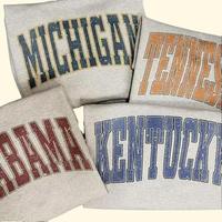 Distressed Varsity College T-Shirt – Ash Grey Color, unisex classic cotton tee with a vintage athletic look, perfect for ca...