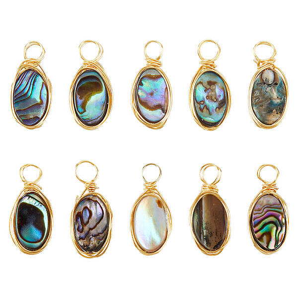10Pcs Copper Wired Natural Abalone Shell/Paua Shell Pendants