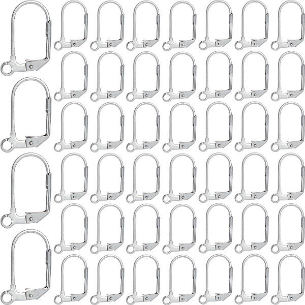 304 Stainless Steel Leverback Earring Findings