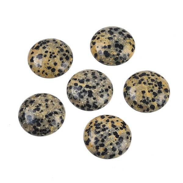 Natural Dalmatian Jasper Cabochons