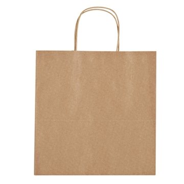 500 Custom Kraft Paper Brown Shopping Bag - 13