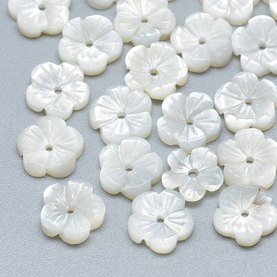 Natural White Shell Beads