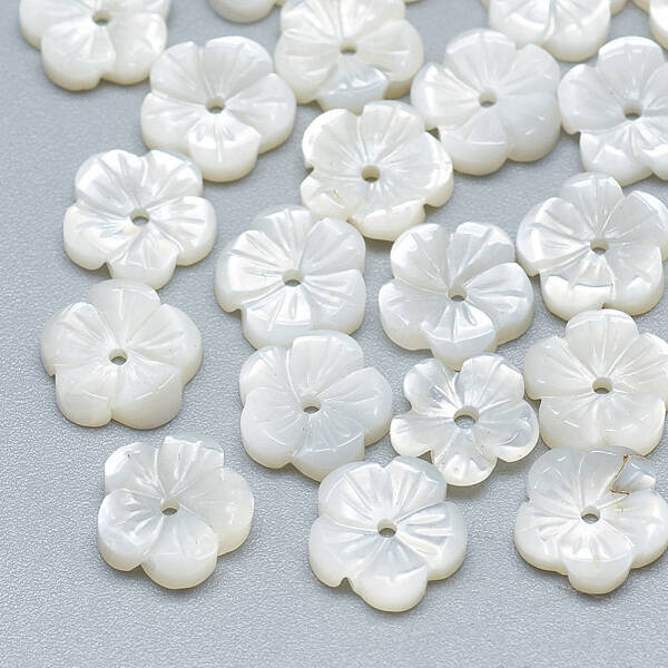 Natural White Shell Beads