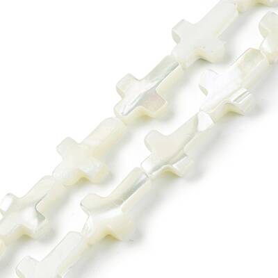 Natural Trochid Shell/Trochus Shell Beads Strands