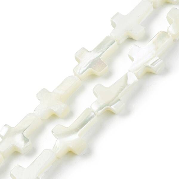Natural Trochid Shell/Trochus Shell Beads Strands
