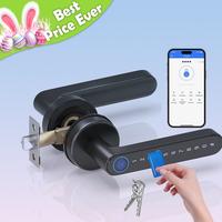Smart Fingerprint Door Lock, 1 Count Keyless Entry Lock with Keyboard Handle, Digital Electric Biometric Smart Door Lock for ...