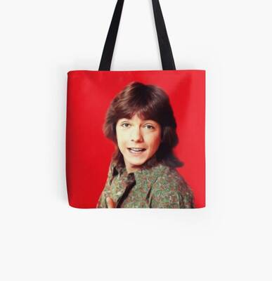 David Cassidy, Hollywood Legend Bag