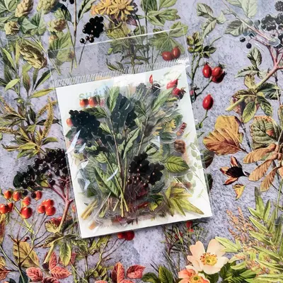 40pcs/set Flower & Grass & Butterfly Pattern Sticker, Nature Themed Pattern Decorative Sticker, Diy Decals for Water Bottle, ...