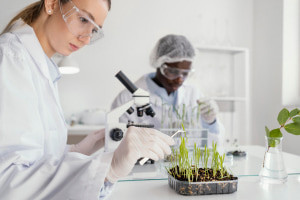 Theory of Plant Breeding
