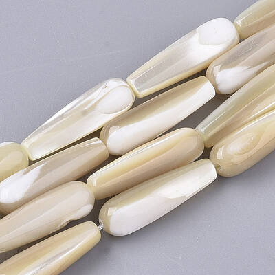 Natural Trochid Shell/Trochus Shell Beads Strands