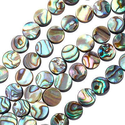BENECREAT 30 Packs Natural Abalone Shell Coin Flat Round Abalone Shell Beads with Storage Containers for DIY Jewelry Making